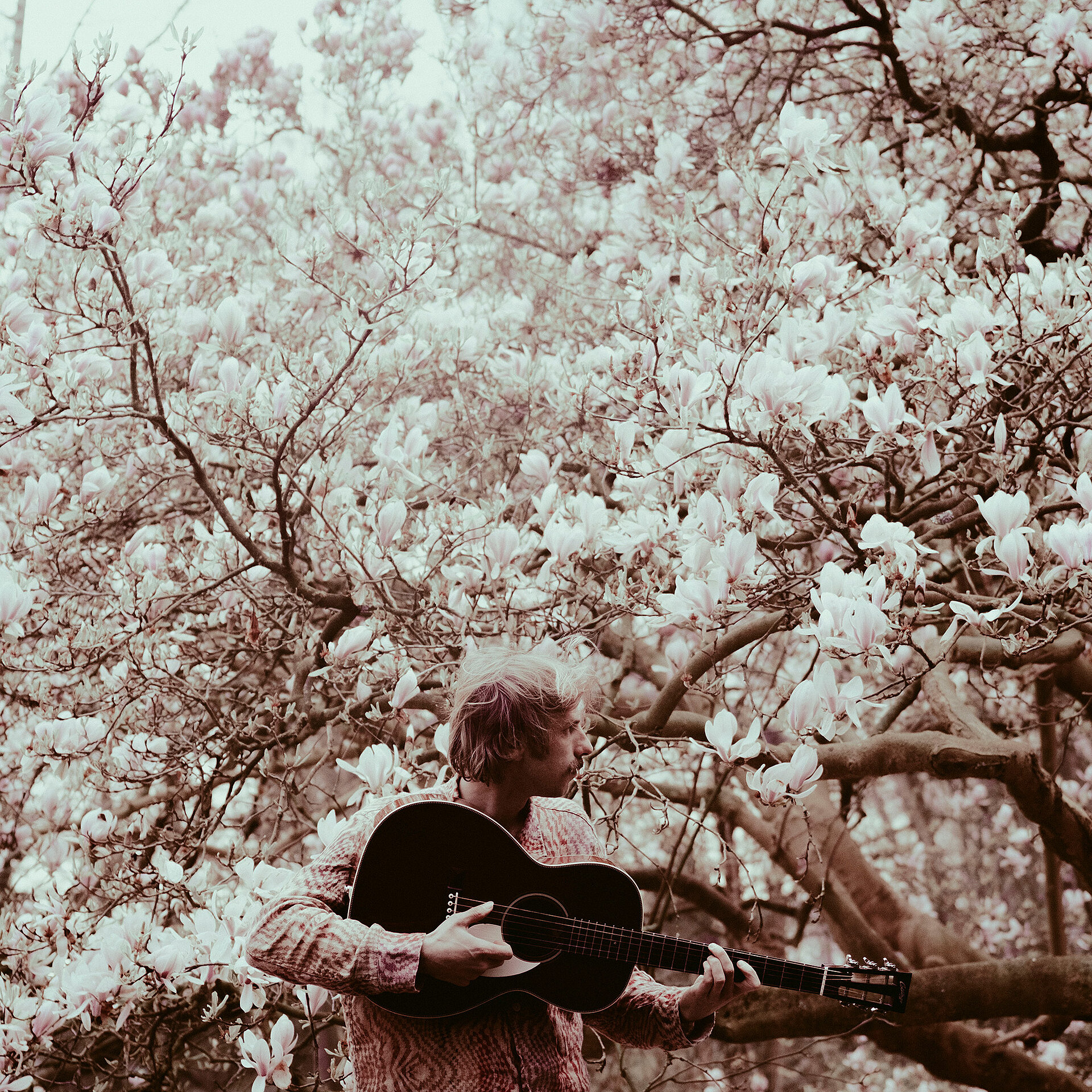 Photo: Jonas De Kesel JONAS DE KESEL