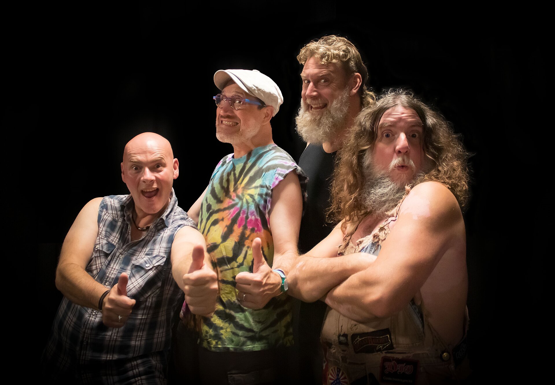 HAYSEED DIXIE